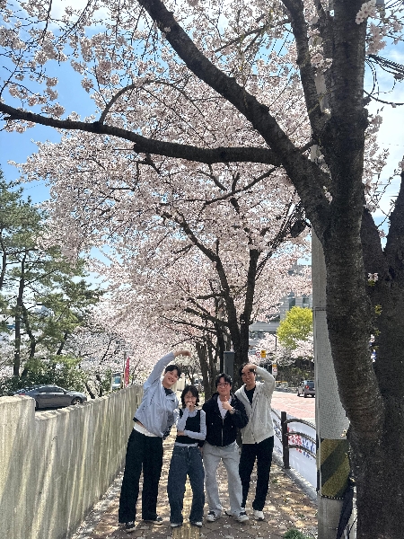 꽃보다 아름다운 대학원생  대표이미지